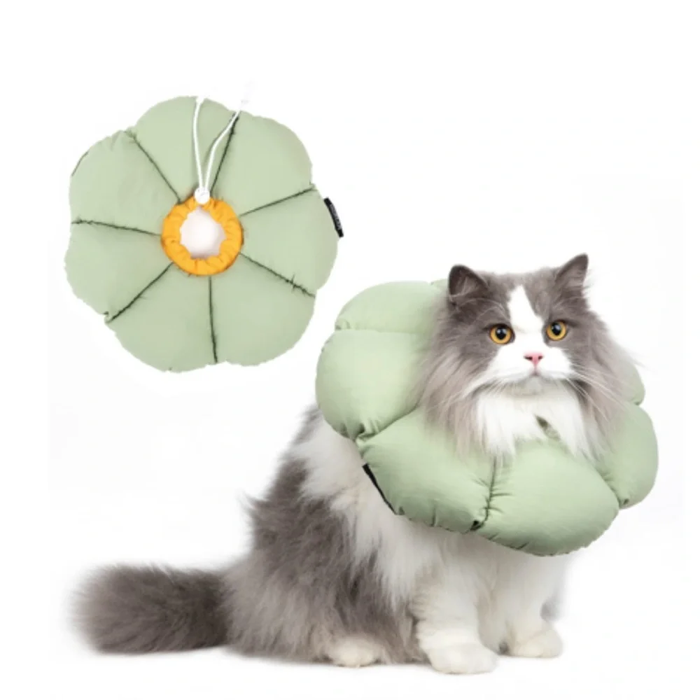 NWOT! Cute, Green Floral Dog/Cat Cone